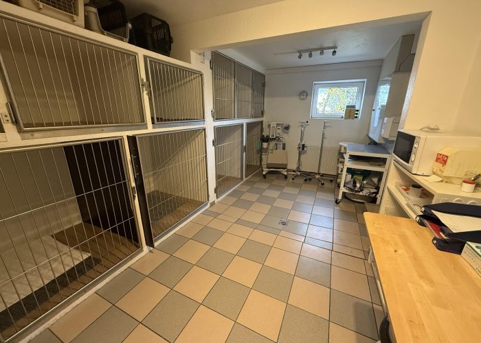 Tierarzt- und Tierphysiotherapiepraxis in Brackwede