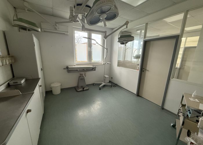 Tierarzt- und Tierphysiotherapiepraxis in Brackwede