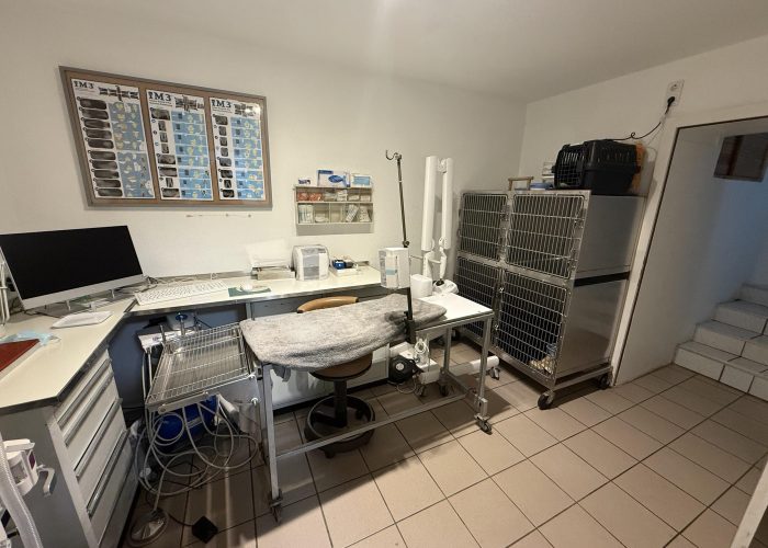 Tierarzt- und Tierphysiotherapiepraxis in Brackwede