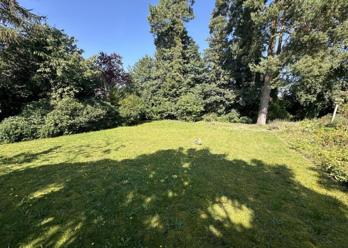 Baugrundstück in Sennestadt