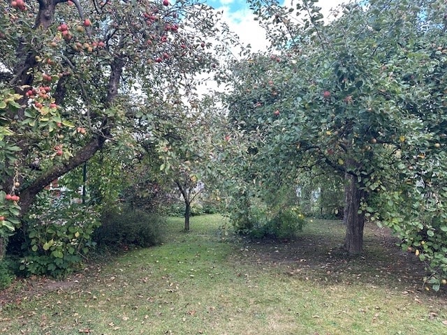 Doppelhaushälfte mit 3 Wohneinheiten in Schildesche