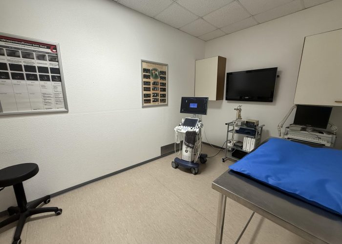 Tierarzt- und Tierphysiotherapiepraxis in Brackwede