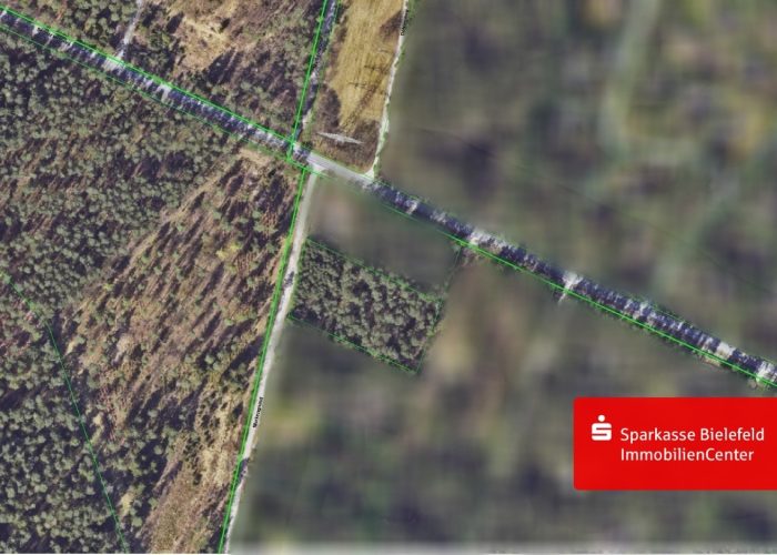 Für Erholung und Naturliebhaber: 5 000 m² Waldgrundstück im Teutoburger Wald