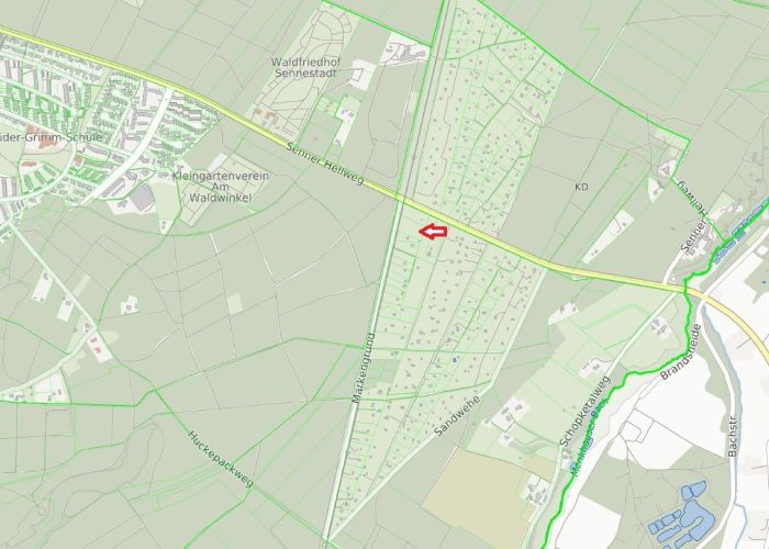 Für Erholung und Naturliebhaber: 5 000 m² Waldgrundstück im Teutoburger Wald