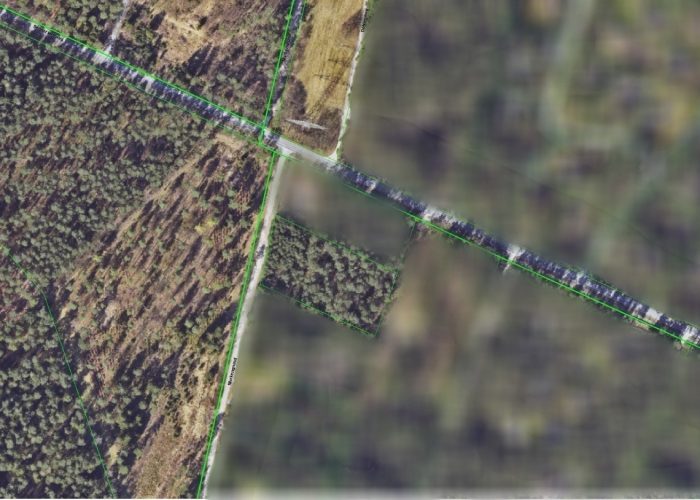 Für Erholung und Naturliebhaber: 5 000 m² Waldgrundstück im Teutoburger Wald