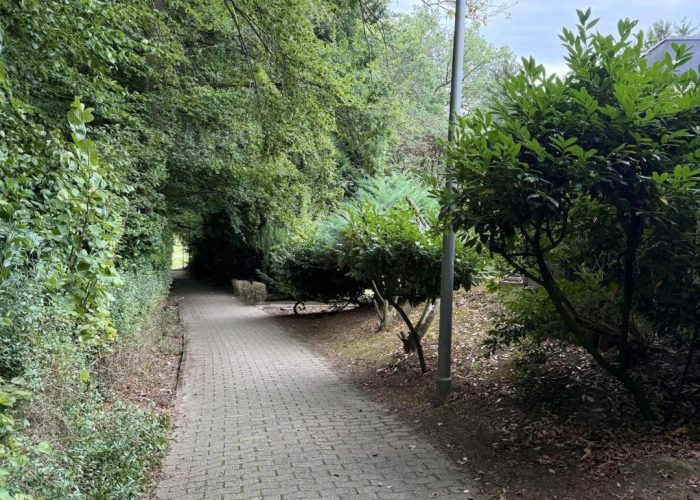 Bungalow mit Einliegerwohnung in Brake